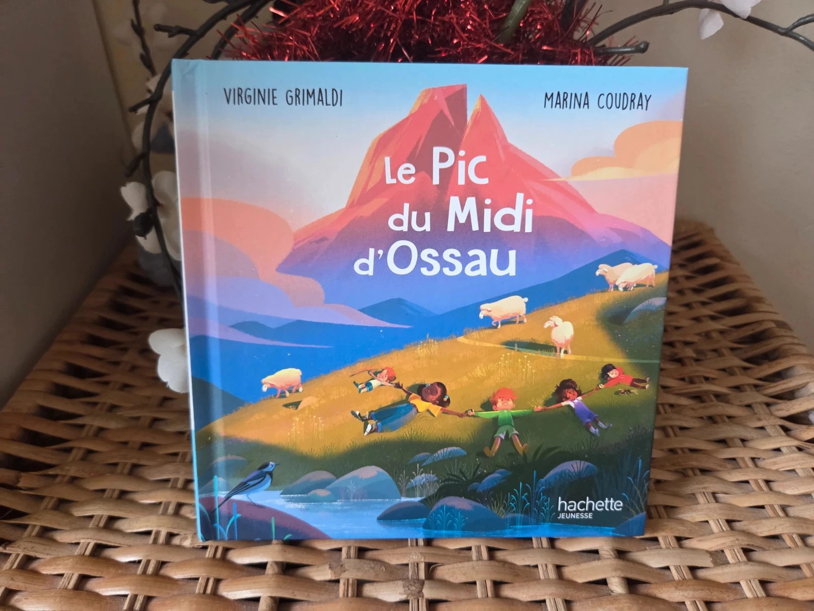 💜Le pic du midi d'ossau livre enfant